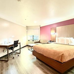 King Room Disability Access